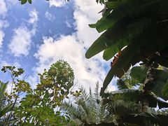 -碧桂园润杨溪谷温泉酒店