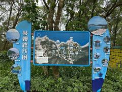 -广东惠东海龟国家级自然保护区