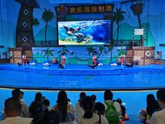 -石家庄极地海洋世界