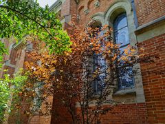 -上海佘山国家森林公园西佘山园