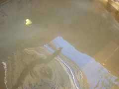 -北京美神宫艺术主题温泉酒店
