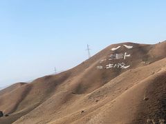-特克斯八卦城