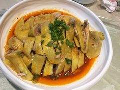 -海派美食·家宴海鲜青岛菜·石锅鲽鱼头(东方城店)