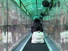 -灵栖洞天