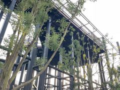 -麦当劳(得来速车道点餐 五里墩店)