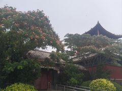-天津妈祖文化园