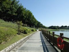景点-风云岭森林公园