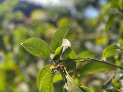 -浙江省博物馆(孤山馆区)