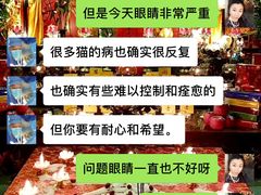-泰洋动物医院·神经专科·磁共振·CT(天河公园总院)