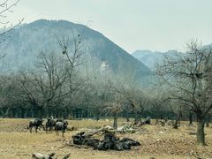 -西安秦岭野生动物园