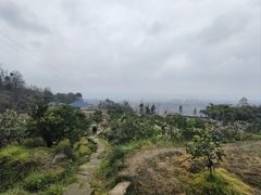 -樱桃山旅游景区