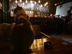 -后院儿·精酿·塔罗Happy Bar
