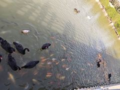 -泉城欧乐堡梦幻世界