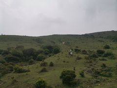 -大姆山草场