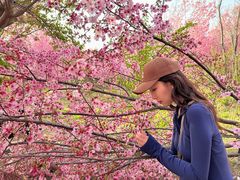 -古柏渡飞黄旅游区