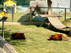 -水上乐园·欢乐世界