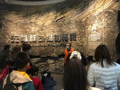 -国家自然博物馆