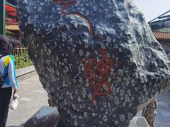 -神州牡丹园