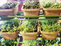 -大匠工房古船木艺术餐厅·猪肚鸡专门店(长白仙岛店)