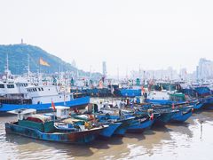-沈家门渔港