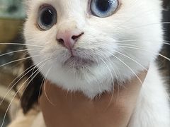 -联合动物医院(光谷诊疗中心)