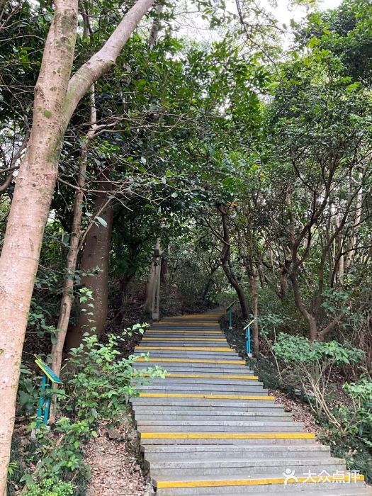 东部华侨城图片