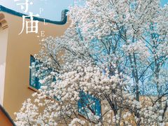-龙华寺