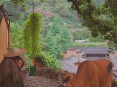 -杨家堂村