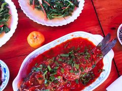 -腾冲国萍农家乐