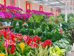 -吾悦广场(天津和平店)