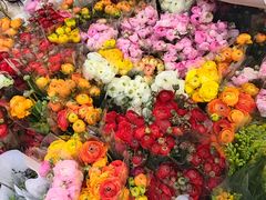 -循礼门鲜花花市(武汉循礼门店)