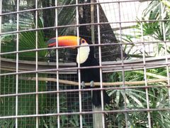 -大连森林动物园