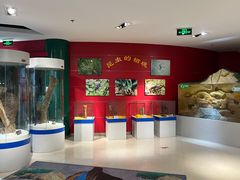 -上海昆虫博物馆