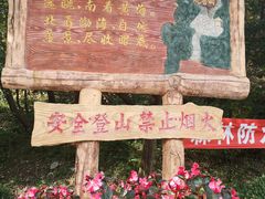 -金龙寺国家森林公园