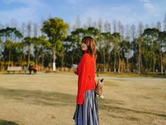 -上海长兴岛郊野公园