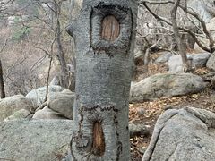 -崂山巨峰游览区