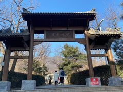 -阳台山自然风景区