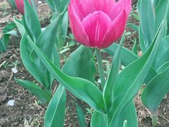 -长春公园(普阳街道)