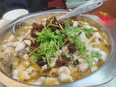 水煮乌鱼-何哥鲜鱼餐厅(龙湖花园店)