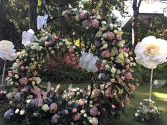 -三亚湾海居铂尔曼度假酒店