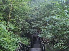 -汤旺河林海奇石景区