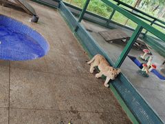 -秦皇岛野生动物园
