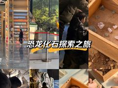 -房山世界地质公园博物馆