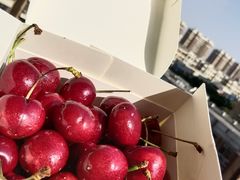 -大润发(张江店)