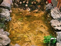 -綱元·海鲜豆捞(明州里店)