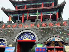 -西霞口神雕山野生动物世界