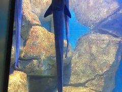 -福州罗源湾海洋世界旅游区