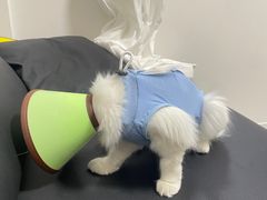 -动物缘宠物医院·骨科·猫科(西二环店)