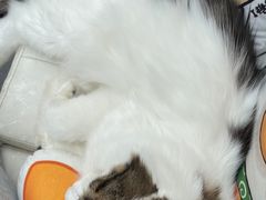 -小时光咖啡馆(北锣鼓巷店)