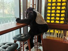 大堂-ZOO COFFEE动物园咖啡(望京锐创店)